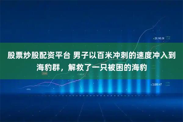 股票炒股配资平台 男子以百米冲刺的速度冲入到海豹群,解救了一只被困的海豹