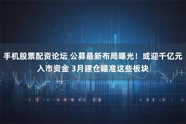 手机股票配资论坛 公募最新布局曝光!或迎千亿元入市资金 3月建仓瞄准这些板块